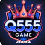 Q555 Game