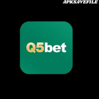Q5Bet game - icon