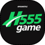 H555 Game
