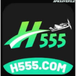 H555 Game