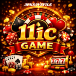 11ic Game