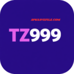 TZ999 Game