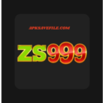 ZS999 Game