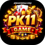 PK11 Game