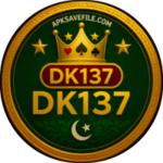 DK137 Game