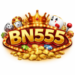 BN555 Game